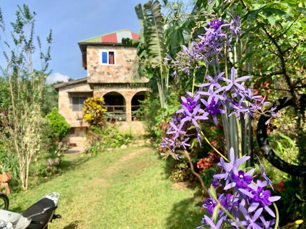 Maison Au Calme Dans La Nature Kpalime Экстерьер фото